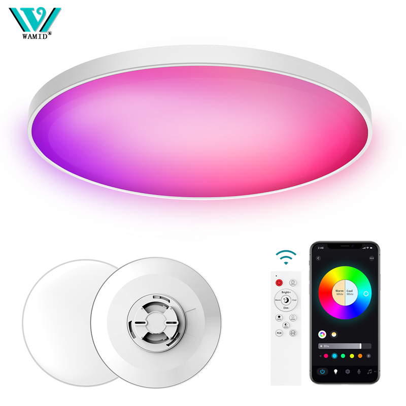 Audio Music Apps - Smart Led Ceiling Light 24W Round